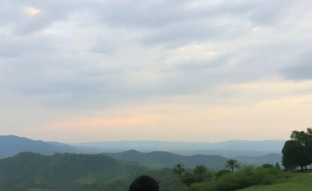 A person calmly reflecting on investment choices with a serene landscape in the background.